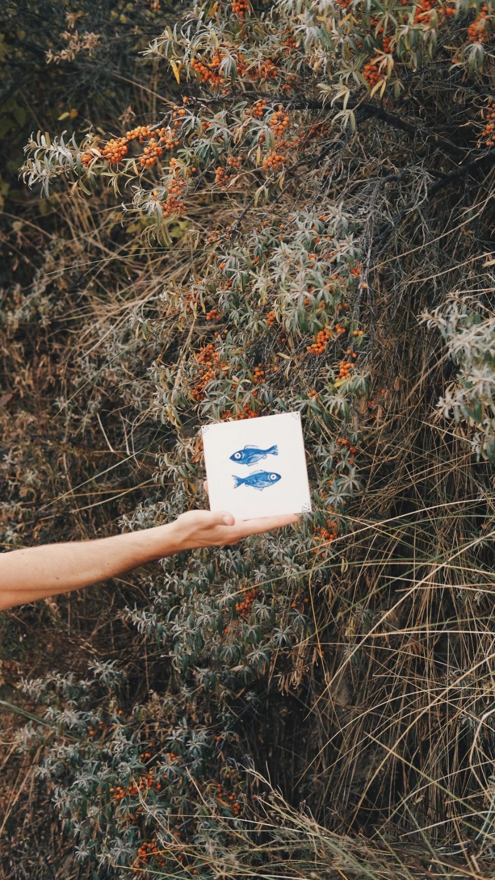 azulejos avec deux poissons