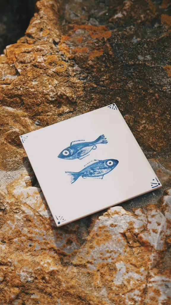 WhatsApp Image 2025-09-02 à 17.21.57_4e9848b2.webp