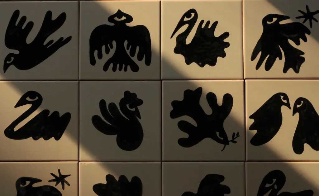 WhatsApp Image 2025-12-26 at 16.49.34 (2).webp